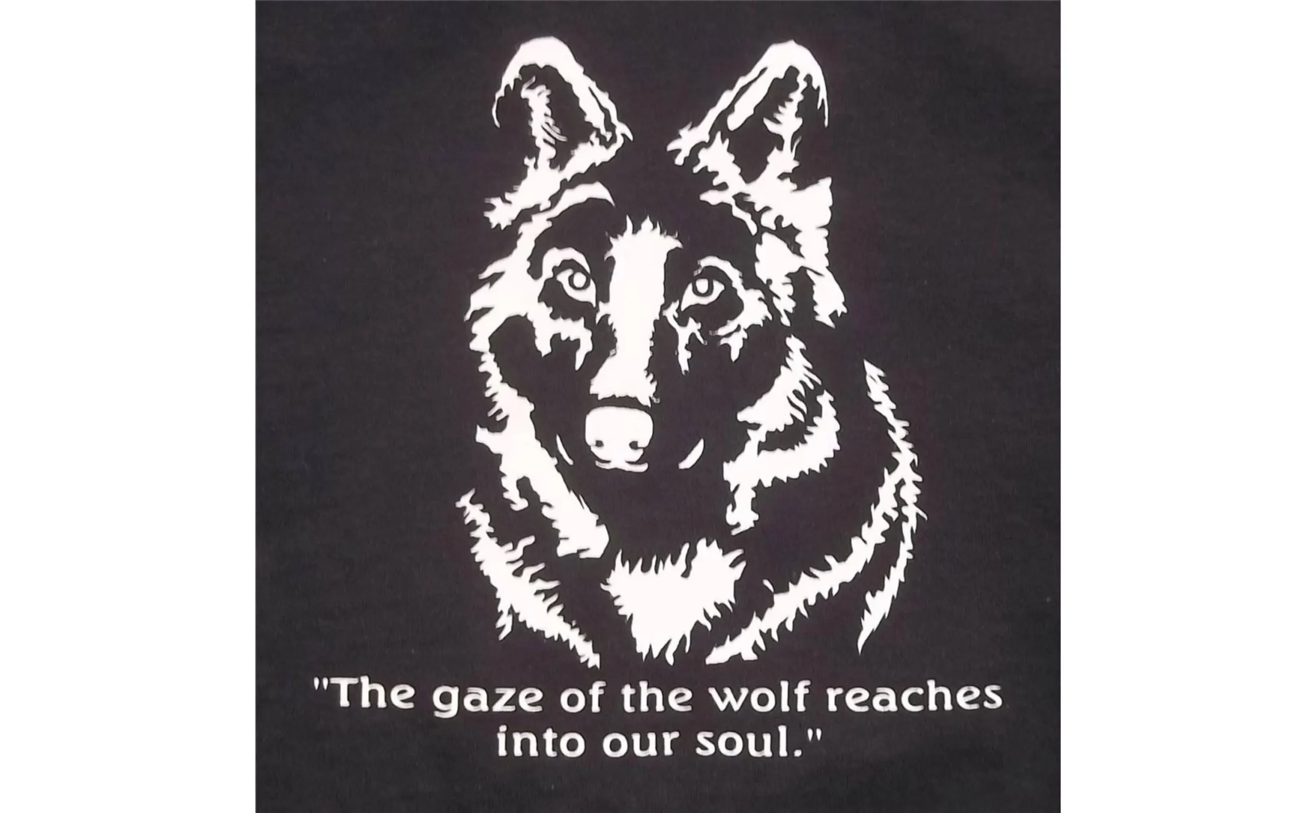 Gaze Into The Eyes Of A Wolf Soul T-Shirt WH